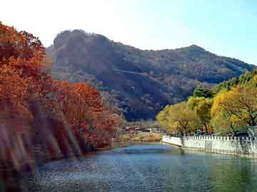 新澳天天开奖资料大全旅游团，柴油